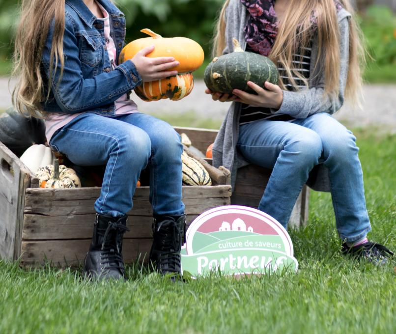 Portneuf, Culture de saveurs - Autocueillette de courges et de citrouilles