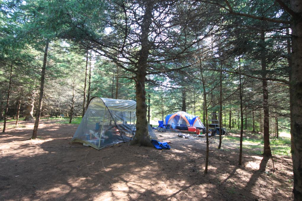 Camping Parc naturel régional de Portneuf - plantation
