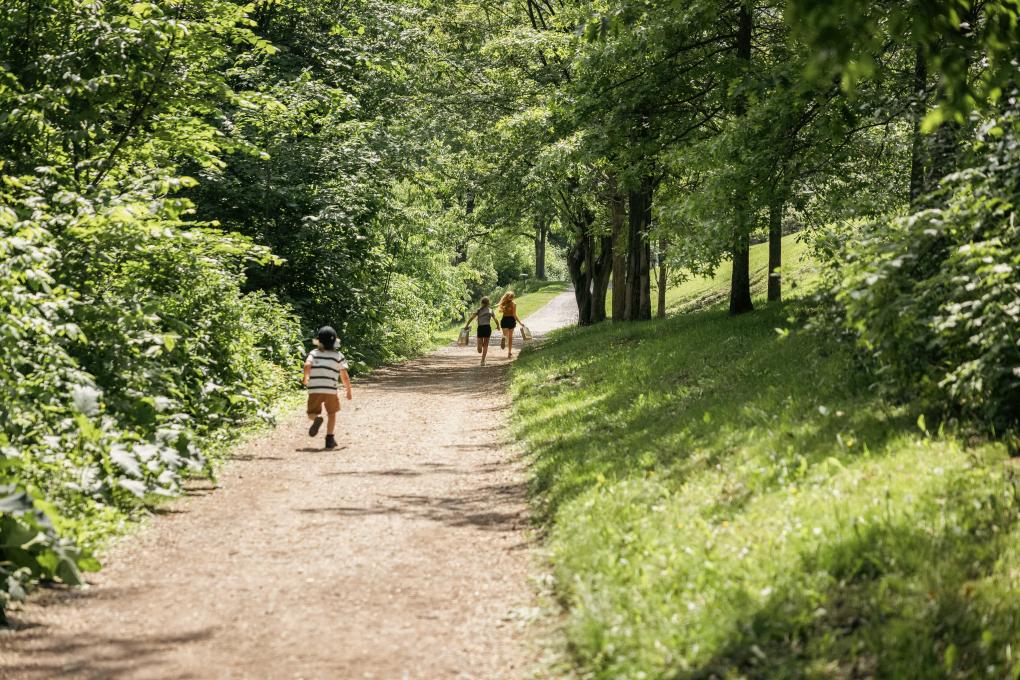 La cachette de l'architecte - chasse au trésor familiale