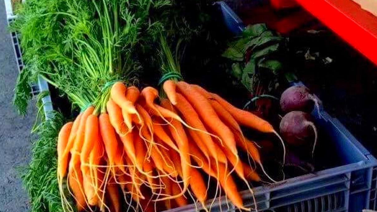 Verger Laval Gagnon - Légumes de la ferme