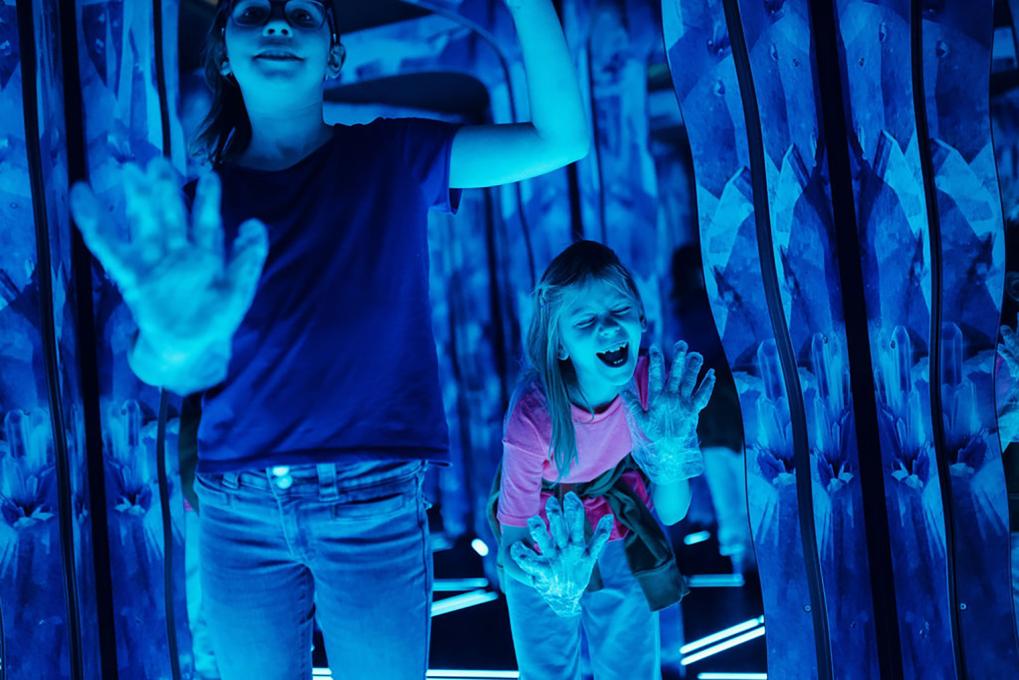 BFLY - Mystérieux labyrinthe de miroirs