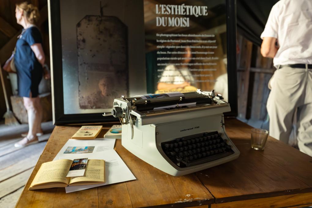 Maison Plamondon- Les couleurs de l'abandon 2