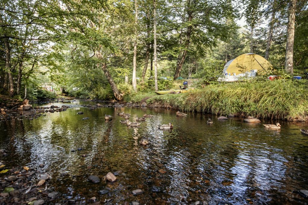 Camping Stoneham - riviere