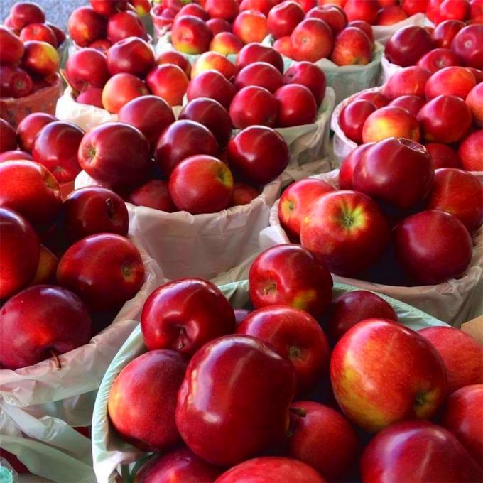 Verger Laval Gagnon - Paniers de pommes