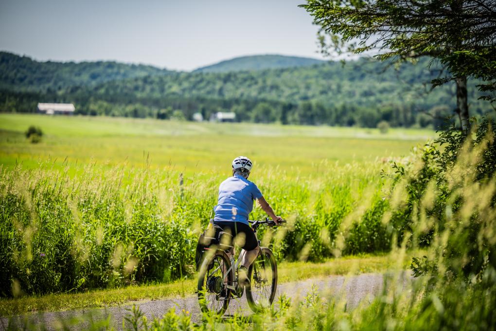 Vélopiste Jacques-Cartier/Portneuf - vélo dans les champs