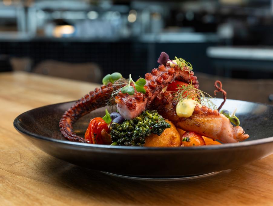 Le Café du Monde - Pieuvre