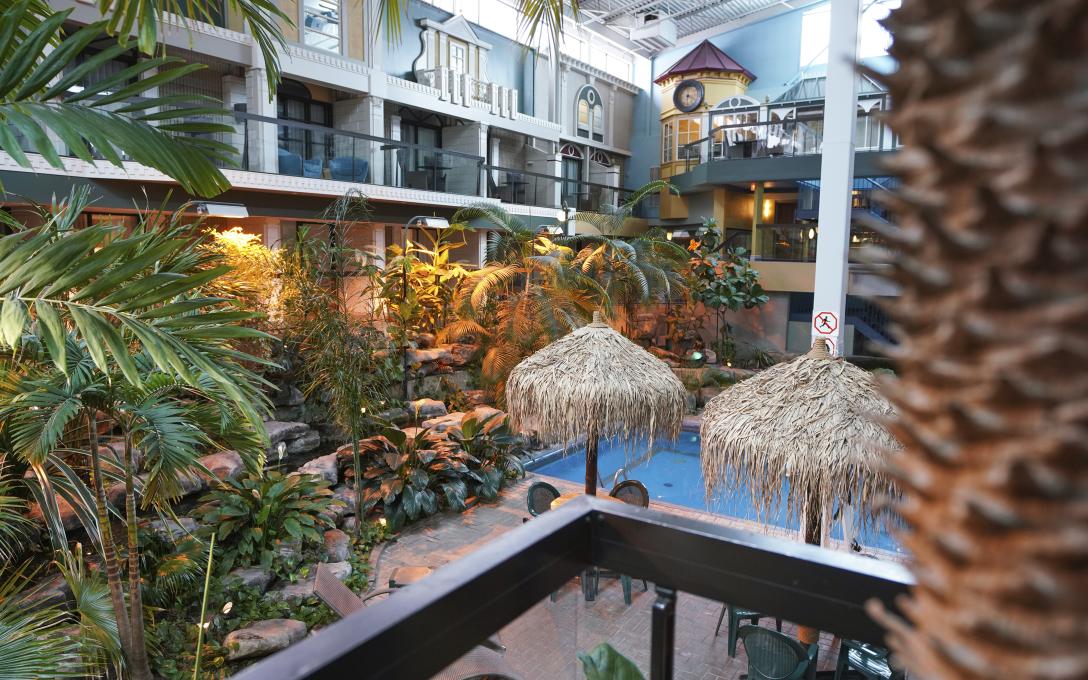Hôtel Québec Inn - Jardin tropical intérieur