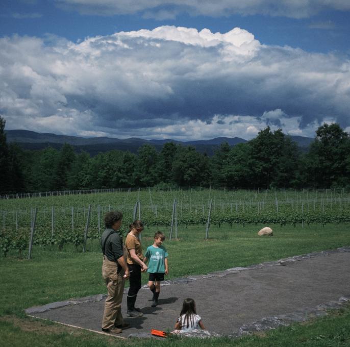 Les Ouches - terrain de pétanque vignoble