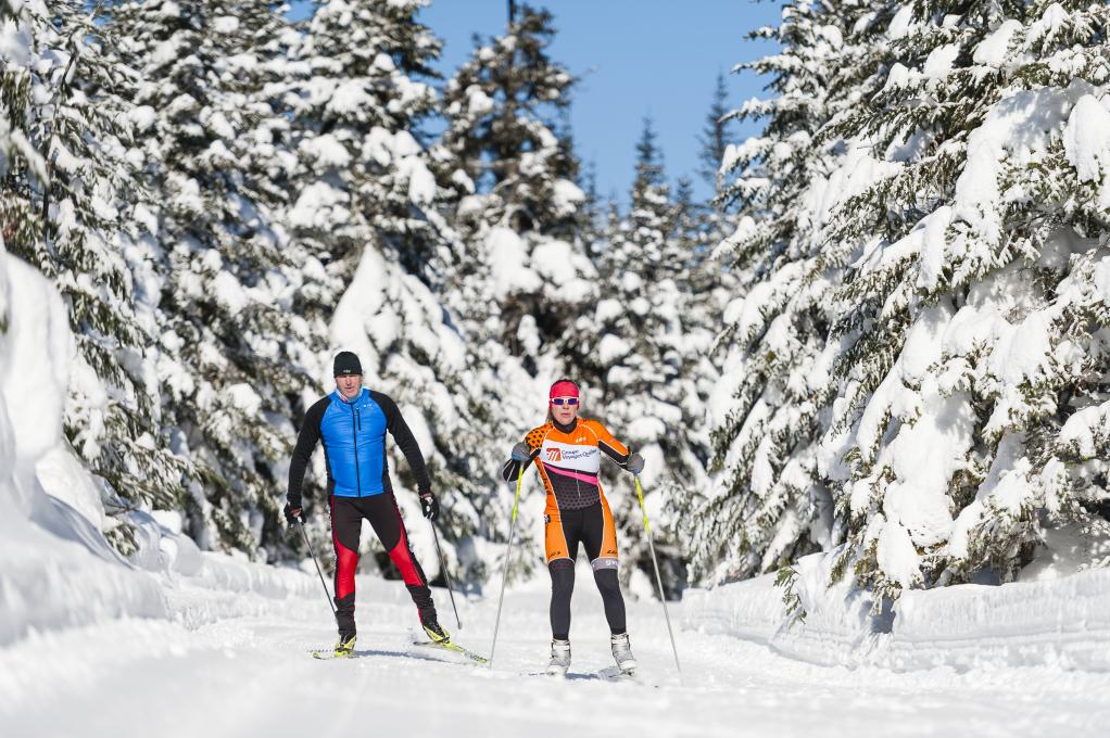 Réserve faunique des Laurentides - Couple cross-country skiingcouple en ski de fond