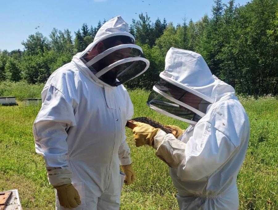 Miel & Co. - Beekeeping visit on reservation