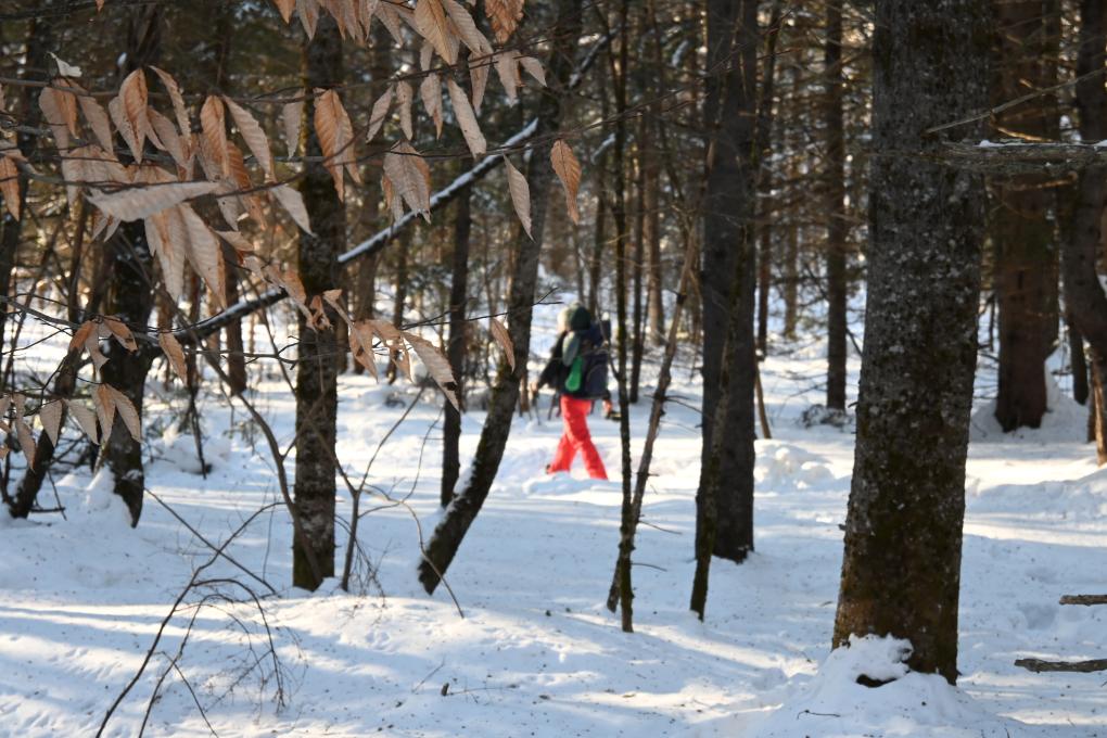 Parc du Mont Wright - Hiver