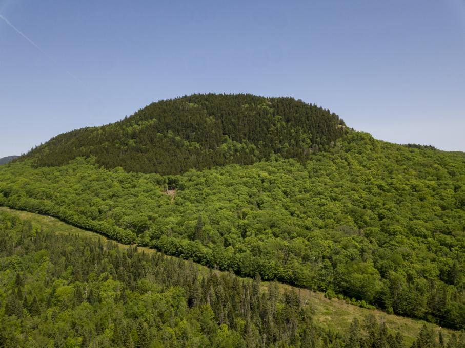 Parc du Mont Wright - Printemps
