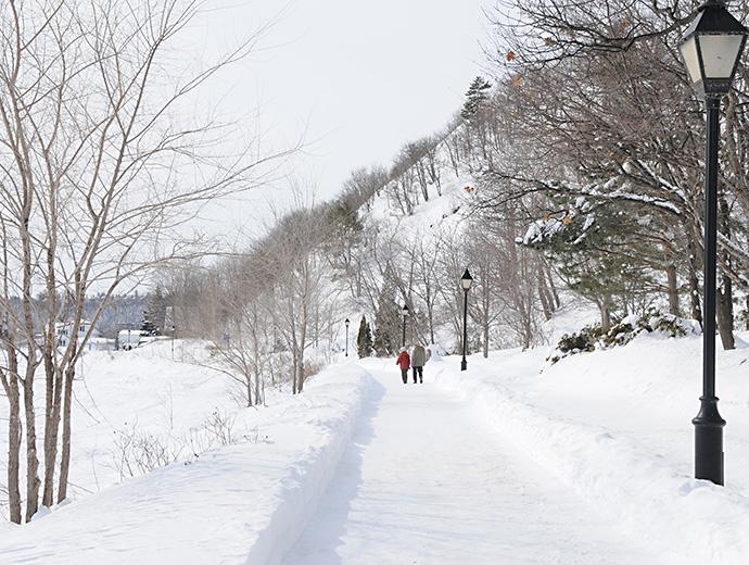 4080 Chemin De La Plage Jacques Cartier