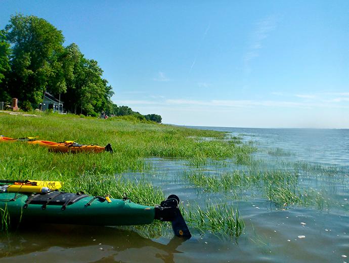 Quatre Natures - Sur l'Île d'Orléans en kayak de mer