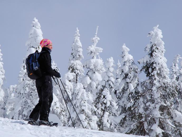 Une femme en randonnée dans une forêt enneigée dans la Réserve faunique des Laurentides en hiver.