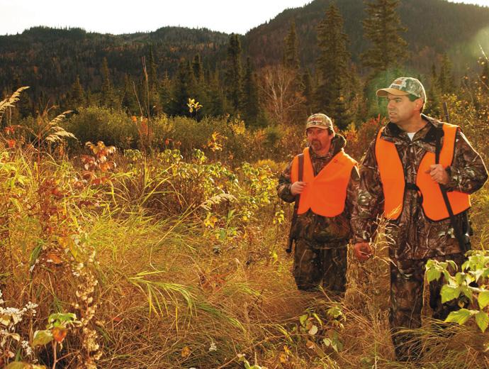 Deux hommes partis à la chasse dans la forêt de la Réserve faunique des Laurentides , en automne, avec habits de camouflage, dossards et carabines.