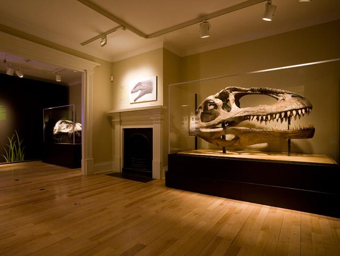 Maison Hamel-Bruneau - exposition sur les dinosaures