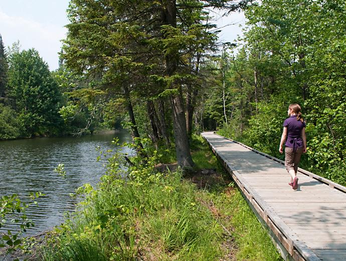 Parc linéaire de la Rivière-Saint-Charles - trail in the forest
