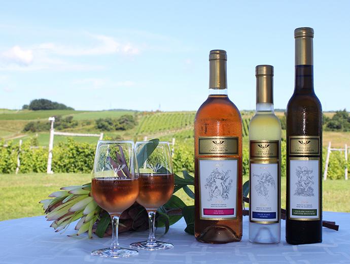 Vignoble Domaine L'Ange-Gardien - Bouteilles de vin