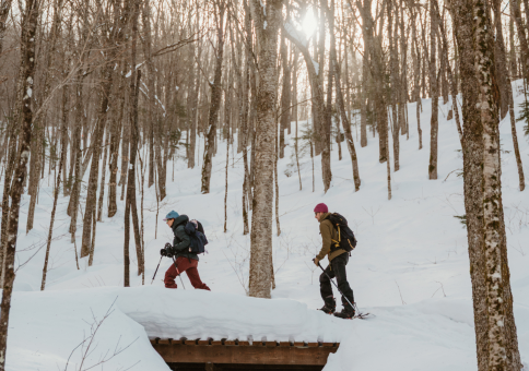 Vallée Bras-du-Nord - Ski de montagne 1