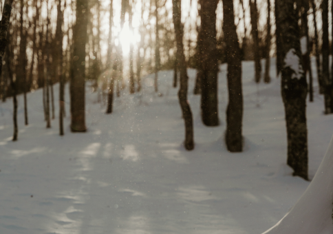 Vallée Bras-du-Nord - Ski de montagne 2