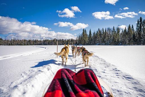Au Chalet en Bois Rond - Randonnée en traîneau à chiens