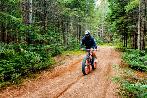 Au Chalet en Bois Rond - Fatbike en été