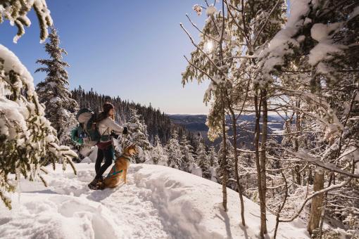 A hiker accompanied by his dog, in winter in a snowshoe trail in the Vallée Bras-du-Nord.