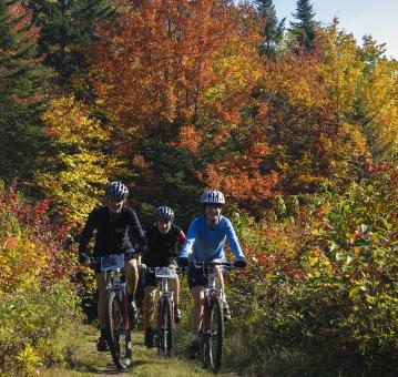 Trois cyclistes font une randonnée en vélo au Mont-Sainte-Anne, en automne.