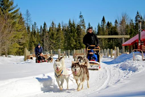 Au Chalet en Bois Rond - Randonnée en chiens de traîneau