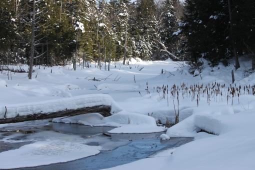 View of the trails in winter in the Parc naturel régional de Portneuf.