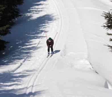 Descente en ski de fond au Parc naturel régional de Portneuf.