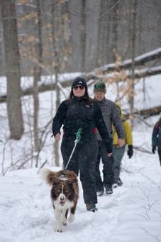 Parc naturel régional de Portneuf - Marche avec chien