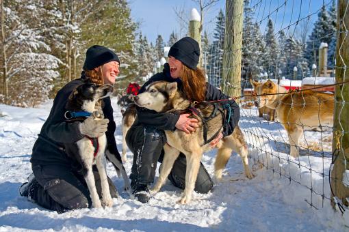 Au Chalet en Bois Rond - Moment privilégié avec les chiens de traîneaux