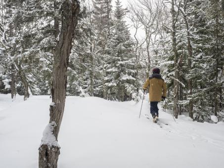 An outdoor enthusiast goes alpine hiking in a snowy forest in the Massif de Charlevoix.