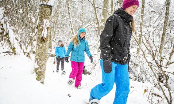 Quatre Natures - snowshoeing in the forest