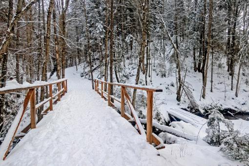 Au Chalet en Bois Rond - Des sentiers accessibles tout l'hiver