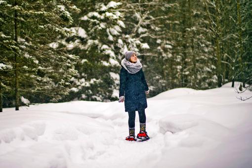 Au Chalet en Bois Rond - Raquettes