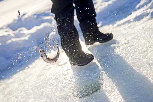 Au Chalet en Bois Rond - Pêche blanche
