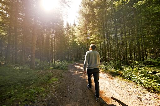 Au Chalet en Bois Rond - Sentiers pédestres en forêt