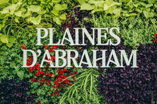Plaines d'Abraham - Mur végétal
