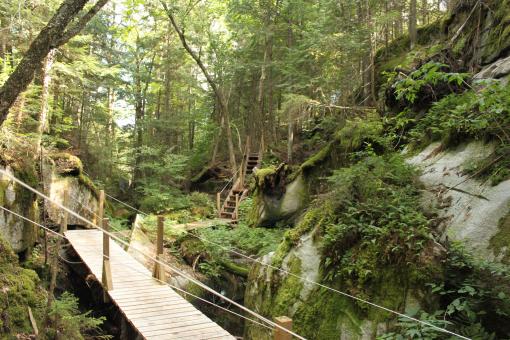 Parc naturel régional de Portneuf - suspension bridge