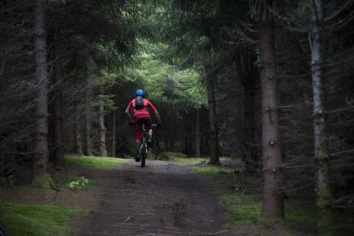 Un cycliste dans un sentier de vélo en forêt, dans la Vallée Bras-du-Nord.