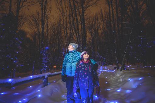 Onhwa' Lumina - web hiver