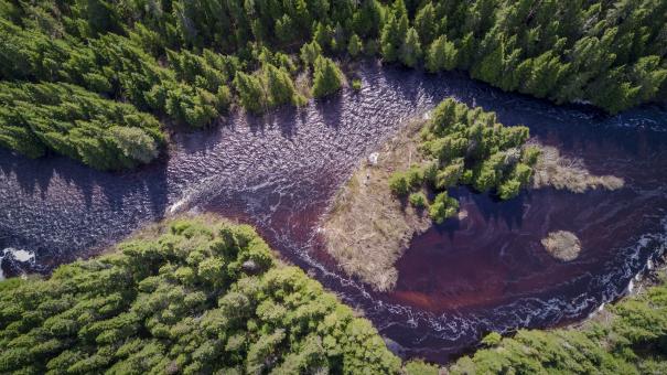 Vue aérienne d'une rivière serpentant la forêt, en été, dans la Réserve faunique des Laurentides.