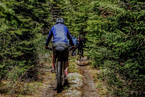 Réserve faunique des Laurentides - Mountain bike trail