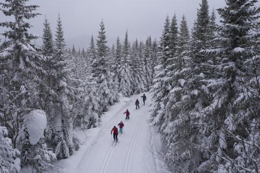 Réserve faunique des Laurentides - Groupe en ski de fond