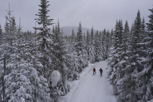 Réserve faunique des Laurentides - cross-country skiing