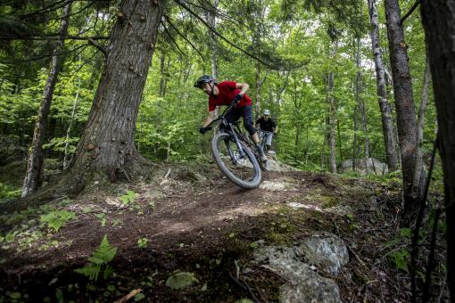 Parc MSA - Vélo XC - Photo 1