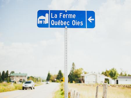 La Ferme Québec-Oies - enseigne